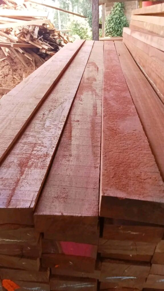 meranti wood timber