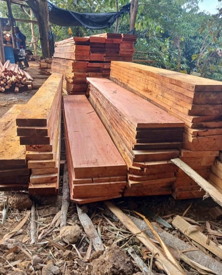mahogany sawn timber