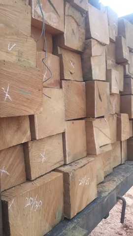 yellow balau supplier