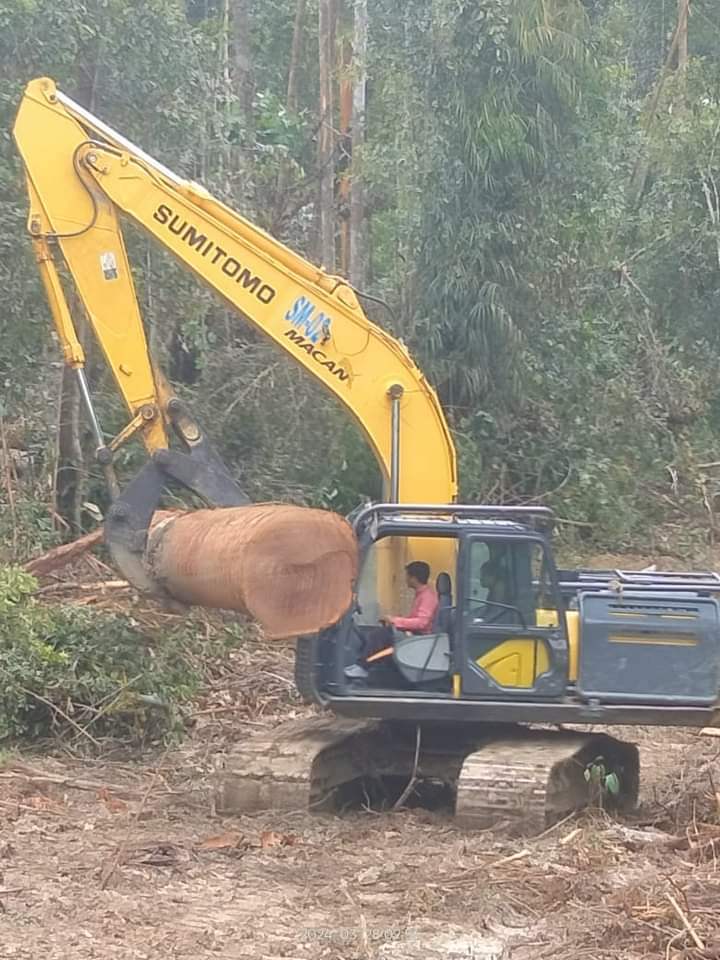 logging
